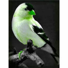Laden Sie das Bild in den Galerie-Viewer, Diamond Painting - Exotischer Vogel