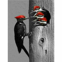 Laden Sie das Bild in den Galerie-Viewer, Diamond Painting - Fütterung Spechte