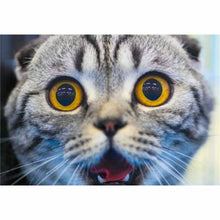 Laden Sie das Bild in den Galerie-Viewer, Diamond Painting - Große Augen der Katze