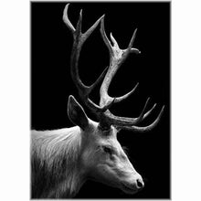 Laden Sie das Bild in den Galerie-Viewer, Diamond Painting - Hirsch / schwarz-weiß