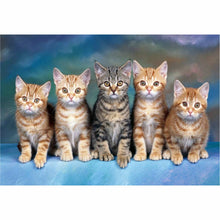 Laden Sie das Bild in den Galerie-Viewer, Diamond Painting - Katzengeschwister