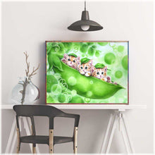 Laden Sie das Bild in den Galerie-Viewer, Diamond Painting - Katzen in der Schote