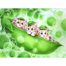 Laden Sie das Bild in den Galerie-Viewer, Diamond Painting - Katzen in der Schote
