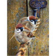 Laden Sie das Bild in den Galerie-Viewer, Diamond Painting - Kleine Spatzen