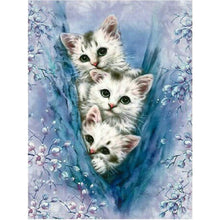 Laden Sie das Bild in den Galerie-Viewer, Diamond Painting - Kletter Katzen
