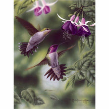 Laden Sie das Bild in den Galerie-Viewer, Diamond Painting - Kolibripaar