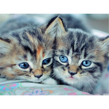 Laden Sie das Bild in den Galerie-Viewer, Diamond Painting - Kuschelkatzen