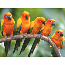 Laden Sie das Bild in den Galerie-Viewer, Diamond Painting - Papageienbabys