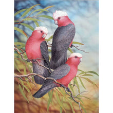 Laden Sie das Bild in den Galerie-Viewer, Diamond Painting - Paradiesvögel