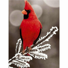 Laden Sie das Bild in den Galerie-Viewer, Diamond Painting - Rote Schönheit