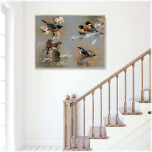 Laden Sie das Bild in den Galerie-Viewer, Diamond Painting - Rotkehlchen