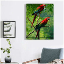 Laden Sie das Bild in den Galerie-Viewer, Diamond Painting - Rotkopf Ara