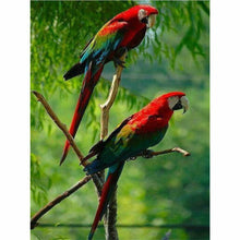 Laden Sie das Bild in den Galerie-Viewer, Diamond Painting - Rotkopf Ara