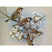 Laden Sie das Bild in den Galerie-Viewer, Diamond Painting - Spatzen im Frühjahr