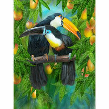 Laden Sie das Bild in den Galerie-Viewer, Diamond Painting - Tukanpaar