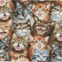 Laden Sie das Bild in den Galerie-Viewer, Diamond Painting - Verrückte Katzengesichter