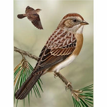 Laden Sie das Bild in den Galerie-Viewer, Diamond Painting - Vogel des Waldes