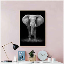Laden Sie das Bild in den Galerie-Viewer, Diamond Painting - Elefant / schwarz-weiß
