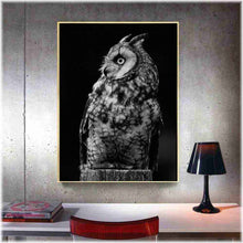Laden Sie das Bild in den Galerie-Viewer, Diamond Painting - Eule / schwarz-weiß