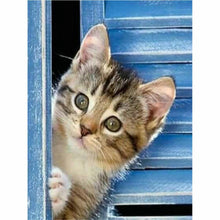 Laden Sie das Bild in den Galerie-Viewer, Diamond Painting - wundrige Katze