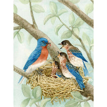 Laden Sie das Bild in den Galerie-Viewer, Diamond Painting - Fütterung Babyvögel
