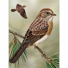 Laden Sie das Bild in den Galerie-Viewer, Diamond Painting - Vogel des Waldes
