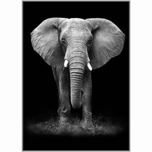 Laden Sie das Bild in den Galerie-Viewer, Diamond Painting - Elefant / schwarz-weiß
