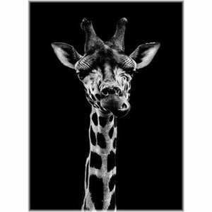 Diamond Painting - Giraffe / schwarz-weiß