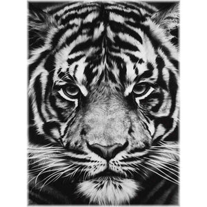 Diamond Painting - Tiger / schwarz-weiß