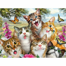 Laden Sie das Bild in den Galerie-Viewer, Diamond Painting - verrückte Katzen
