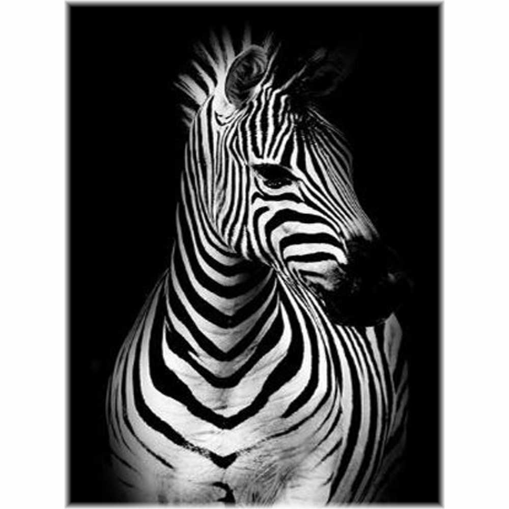 Diamond Painting - Zebra / schwarz-weiss